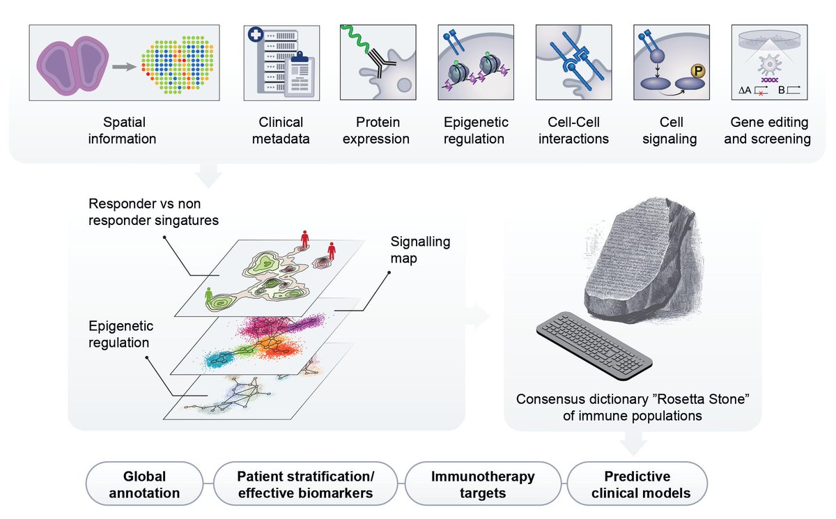 IdoAmitLab (@idoamitlab) on Twitter photo Our new <a href="/immunityCP/">Immunity</a> perspective, led by <a href="/adamyalin/">Adam Yalin</a> <a href="/FGinhoux/">@realFlorentGinhoux</a> & @caduterte, outlines the creation of a āRosetta Stoneā integrating the many layers of single-cell information from vastly growing datasets that will enable the next revolution in immunology>>>
cell.com/immunity/fullt⦠Our new <a href="/immunityCP/">Immunity</a> perspective, led by <a href="/adamyalin/">Adam Yalin</a> <a href="/FGinhoux/">@realFlorentGinhoux</a> & @caduterte, outlines the creation of a āRosetta Stoneā integrating the many layers of single-cell information from vastly growing datasets that will enable the next revolution in immunology>>>
cell.com/immunity/fulltā¦