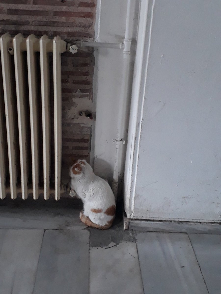 Bir hafta içinde olmayan bir zâtın hayatını yazmam gerekiyordur. Ahh Hayri İrdal... #saatleriayarlamaenstitüsü