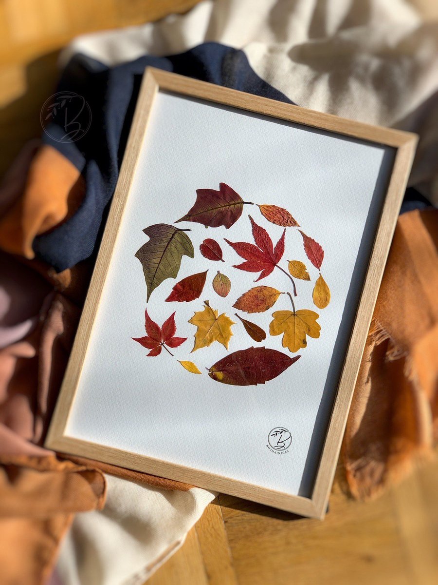 Framed Autumn Leaves #PressedLeaves #HerbstBlätter - #Homedecor #Autumncolors #PressedFlowers #womensday #etsy etsy.me/3CpujrN
