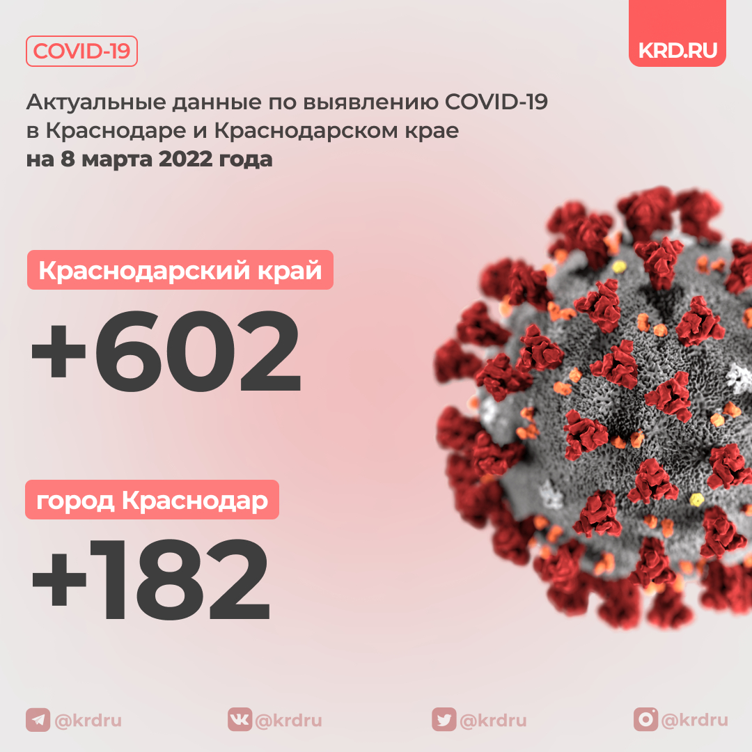 Краснодар tweet media