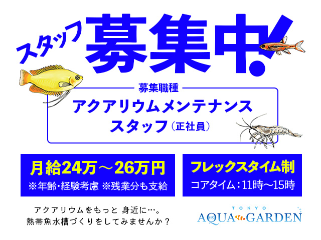 水槽に害虫を発生させない 駆除と水草を安全に植え付けるためのポイント トロピカ