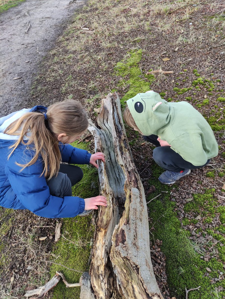 This is why we do what we do!
We adore #nature &amp; we love encouraging children &amp; young people to find their passion too!

Nature Club taster sessions March 30th/31st. Details and booking via our web #natureclub #Norfolk
hootwithme.co.uk

~ Encouraging All to Nurture Nature