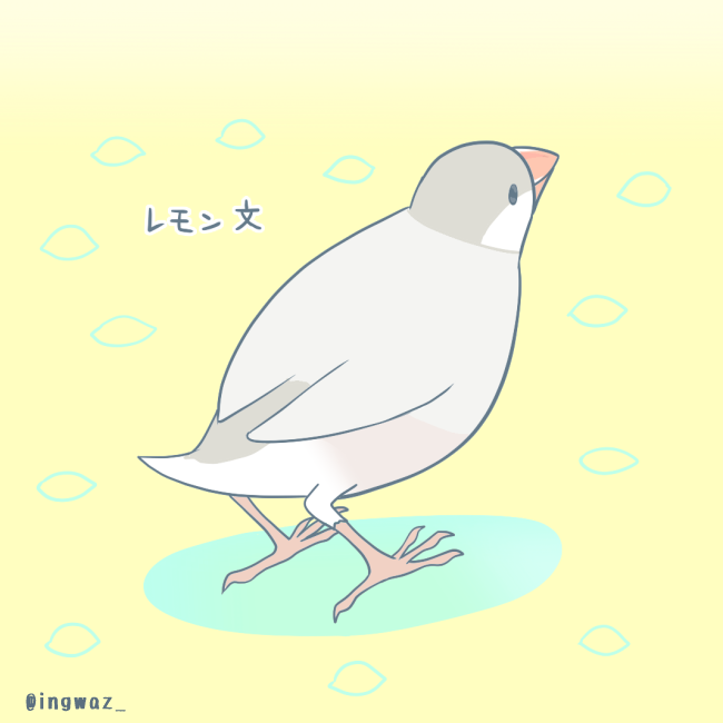 #Buncho #javasparrow #文鳥 