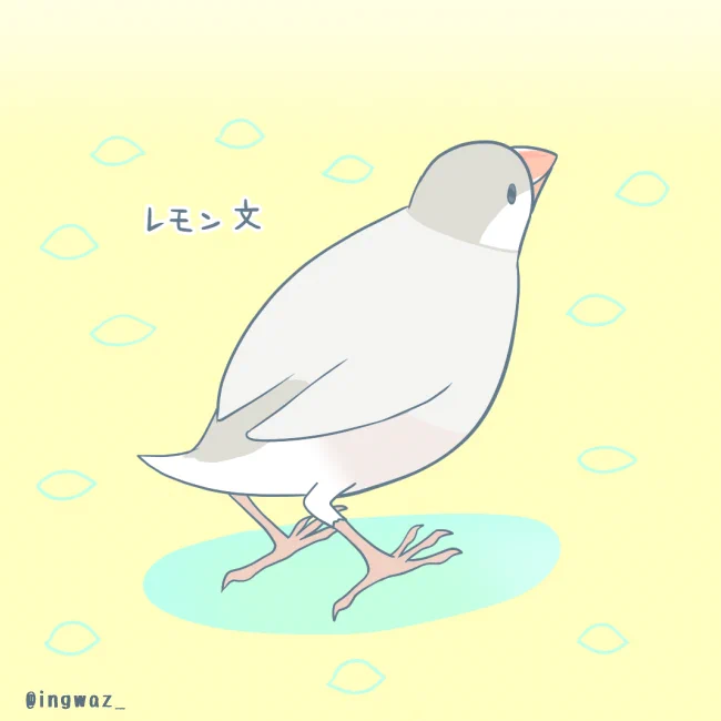 #Buncho #javasparrow #文鳥 