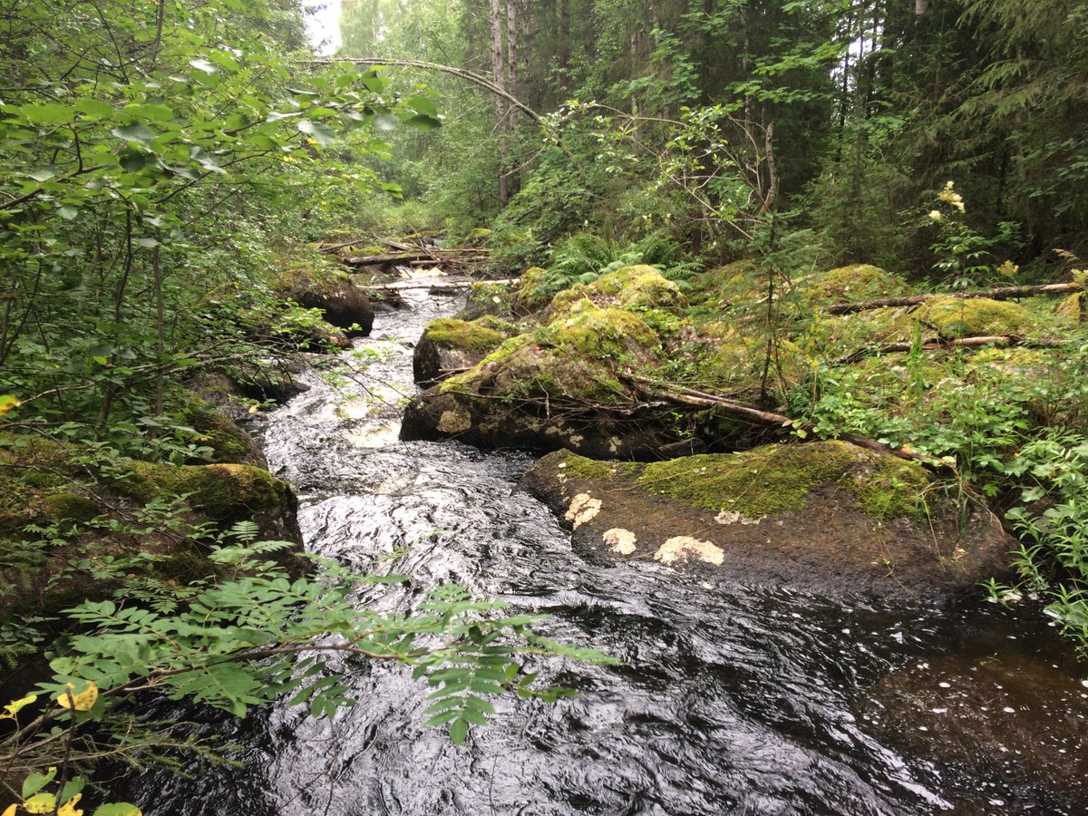 Ryan Sponseller tweet media