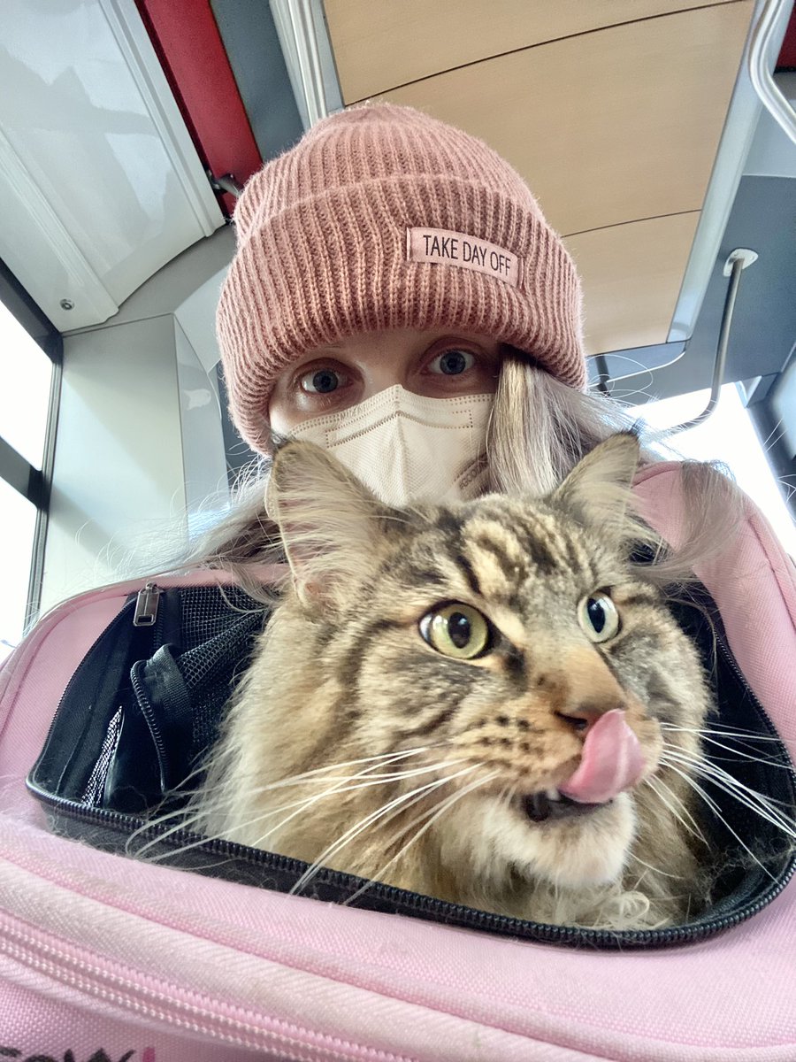 RiveyFox's tweet photo. Jedno odpoledne takhle v tramvaji 😅✨ https://t.co/VPqVGX6ymJ