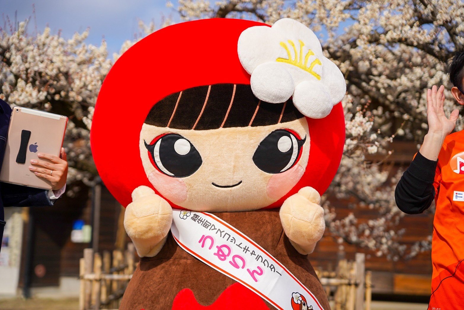 うめりん　ぬいぐるみ　（大）　越生町　マスコットキャラクター　ご当地キャラ うめりんプロフィール／越生町ホームページ