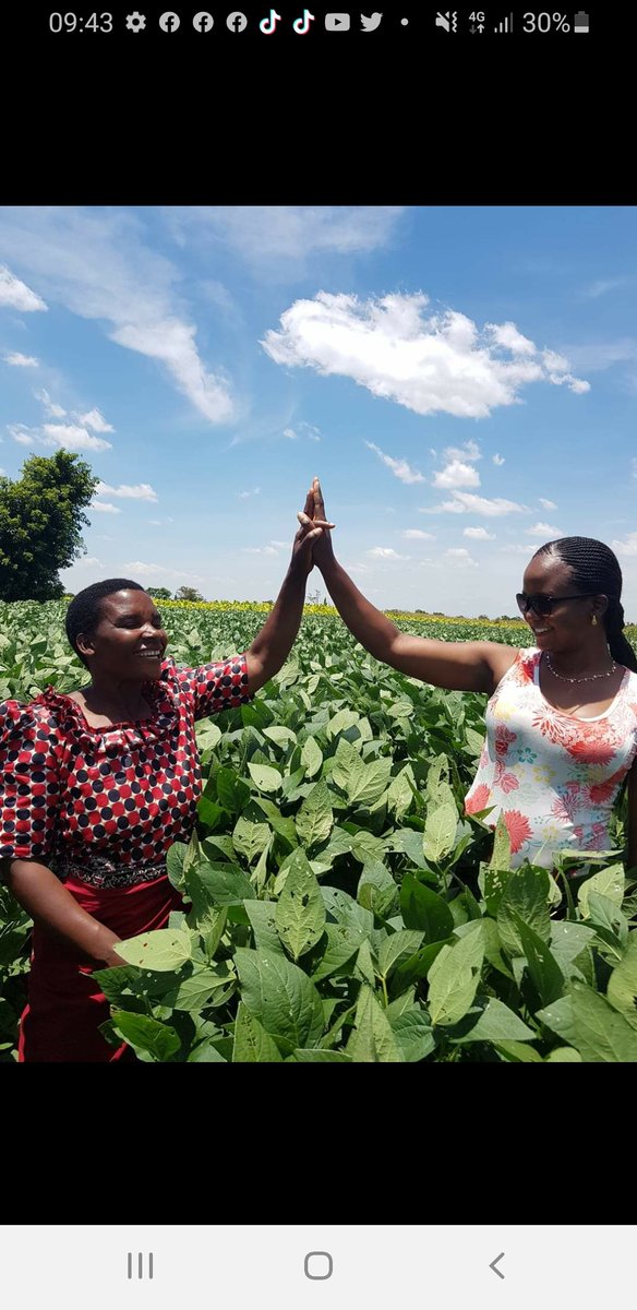 Happy Women's Day!!! Happy to be working with women like Fanny <a href="/ClintonFdn/">Clinton Foundation</a> <a href="/cab_community/">CAB@work</a> that contribute to #Malawi's economy through agriculture! #WomenFeedMalawi