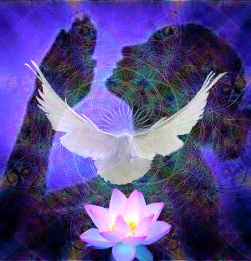 Vzen84Ch's tweet photo. @RogerHodgson @supertramp 💗🙏☮️💗 https://t.co/N4uPqZsOiH