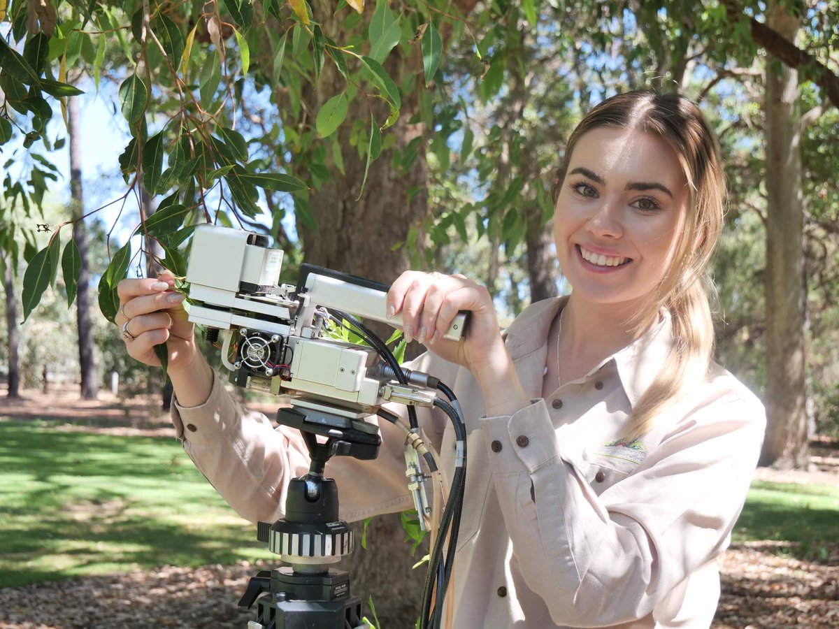 Kings Park tweet media