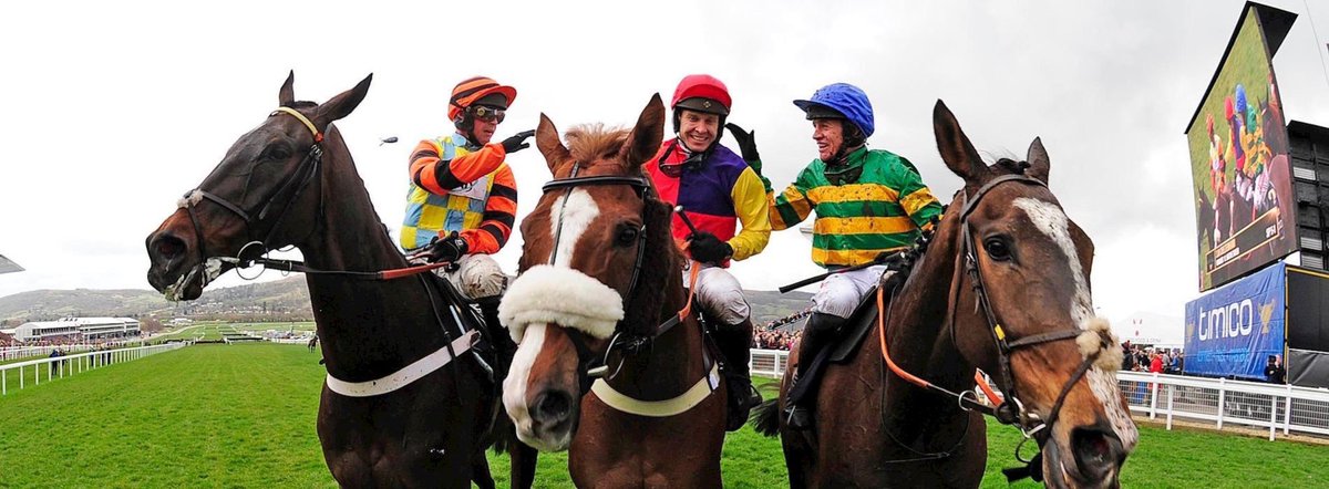 racingblogger's tweet photo. 😍👏 One week to go to the greatest show on turf

It's gonna go off at Cheltenham this year! 

#Cheltenhamfestival 🏆 https://t.co/S1zhXn4lbU