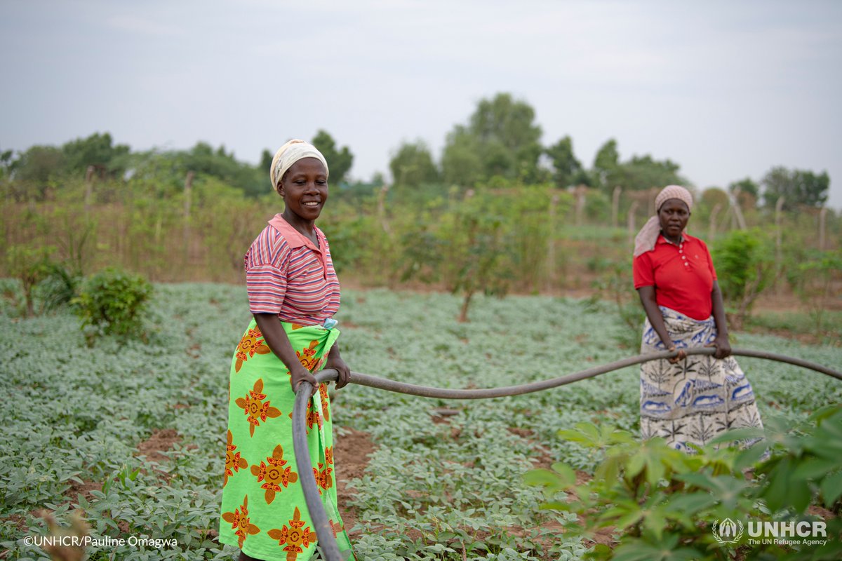 UNHCR_Kenya's tweet photo. "I'm glad I didn't give up on this farm. It has given my family and myself a better life." 

On #IWD2022, we celebrate the resilience of refugee women &amp; girls like Manirakiza who are effective, powerful leaders and change-makers for climate adaptation and mitigation. https://t.co/EW477qkGhW