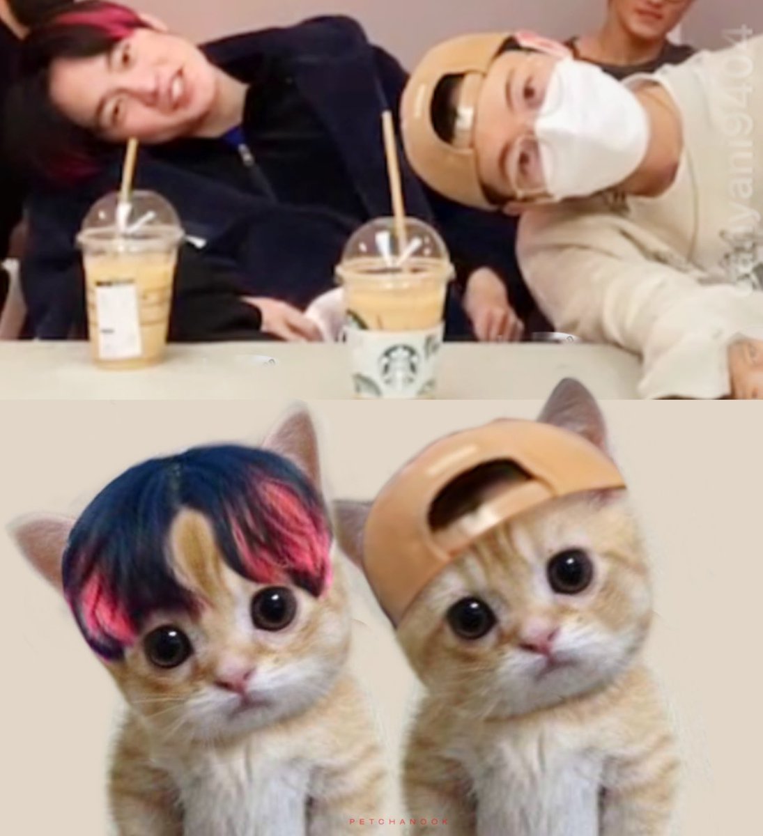 petchanook's tweet photo. :¨·.·¨:
 `·.. Peek a boo !!! https://t.co/xEA4POdVMI