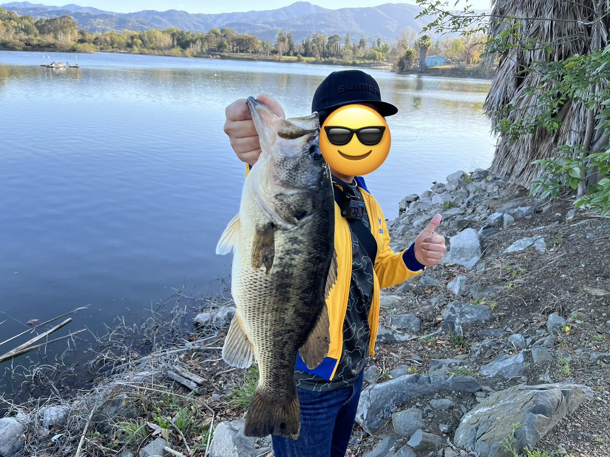 PKMN_trainer238's tweet photo. 50up‼️
アメリカのいつもの公園でついに出ました👍釣れなくても毎週釣りに行った甲斐がありました…久しぶりに嬉しくて震えました🥶
釣り、楽しいですよ。 https://t.co/dRuK9rimws