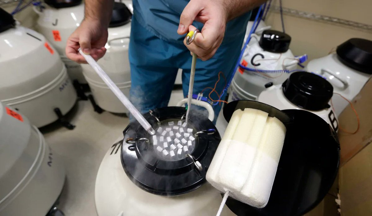Xirong7's tweet photo. Israeli law lets parents and spouses of dead soldiers retrieve their sperm and used it for IVF without cost so his genetic line won’t be broken, sperm can be harvested from a dead body for up to 72 hours , parents had a grandchild from their soldier son who died 11 years ago https://t.co/VtdCg7HIRZ