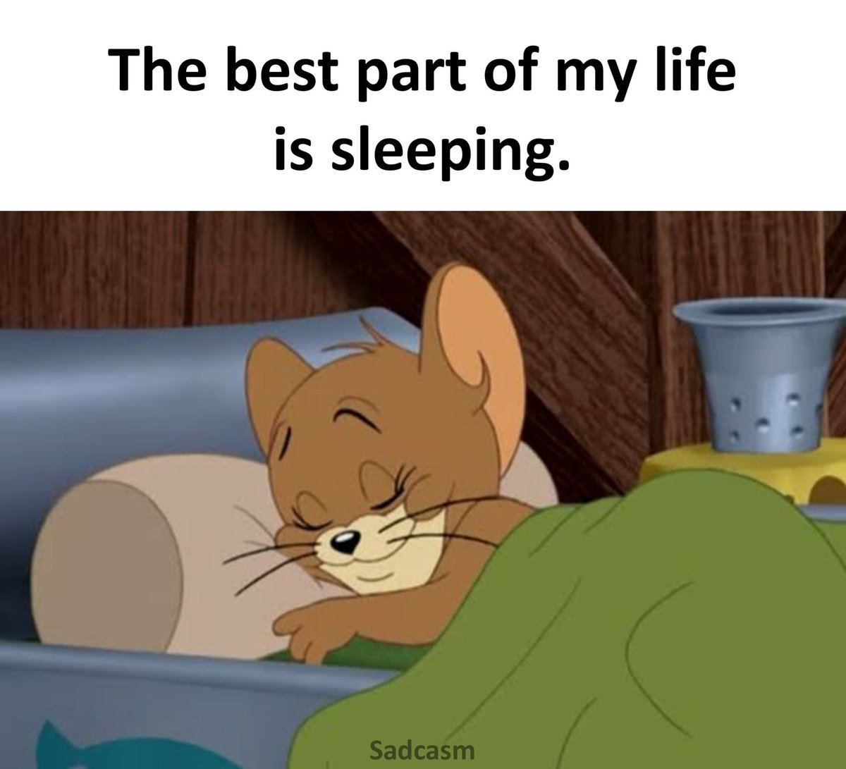 BambuluQ's tweet photo. I love to sleep because I forget about pain, stress, problem, trauma, anxiety and everything for a while.

| jean nelson | #SerwaaAmihereDay  | Firestick |#BreakTheBias  | #Ukraine️ | Free SHS | https://t.co/BcA1pYSm1J
