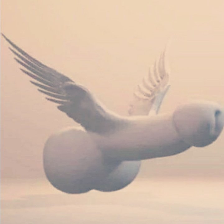 المتيم اليماني جدة الخمرة الفضليه (@alymanyalmtym) on Twitter photo 