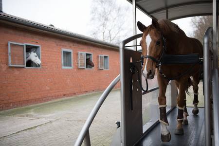 startupnds's tweet image. #StartupMap #Pferdesport #Stavern 

Im Galopp voran!🐎

Das #Startup Sascotec produziert und vermarktet #Pferdelaufbänder, -#Aquatrainer und -#Solarien und verschafft somit Pferden mehr Bewegung, damit sie gesund und leistungsfähig bleiben.💪

Infos unter👉bit.ly/3sPxZQd