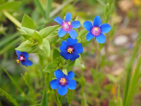 99 Human Storiesᴺᶠᵀ tweet media