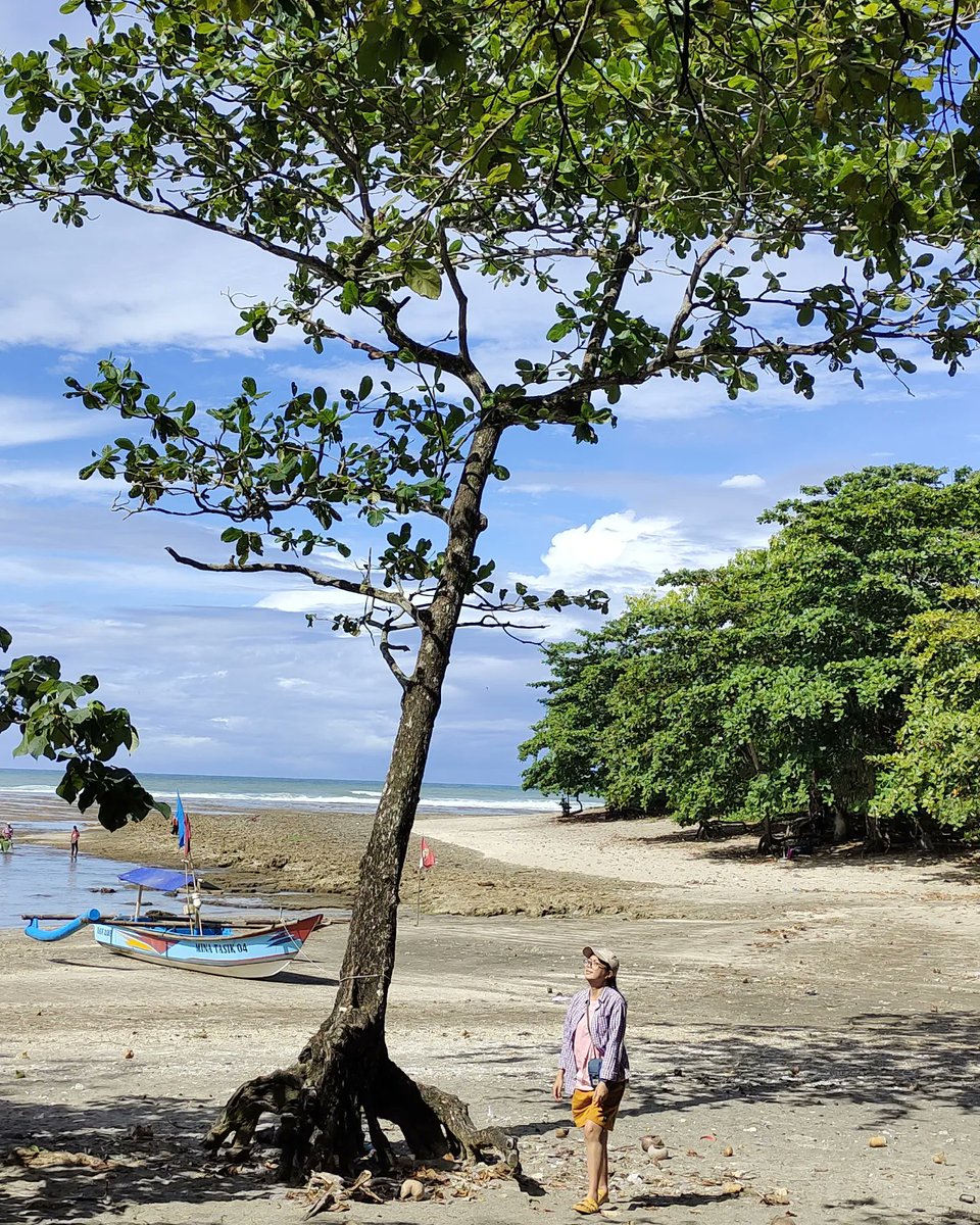 Muhaeminny's tweet photo. Di tasik ada pantai keren nih

#pantaisindangkerta #wisatatasik https://t.co/CF9jlWnVf2