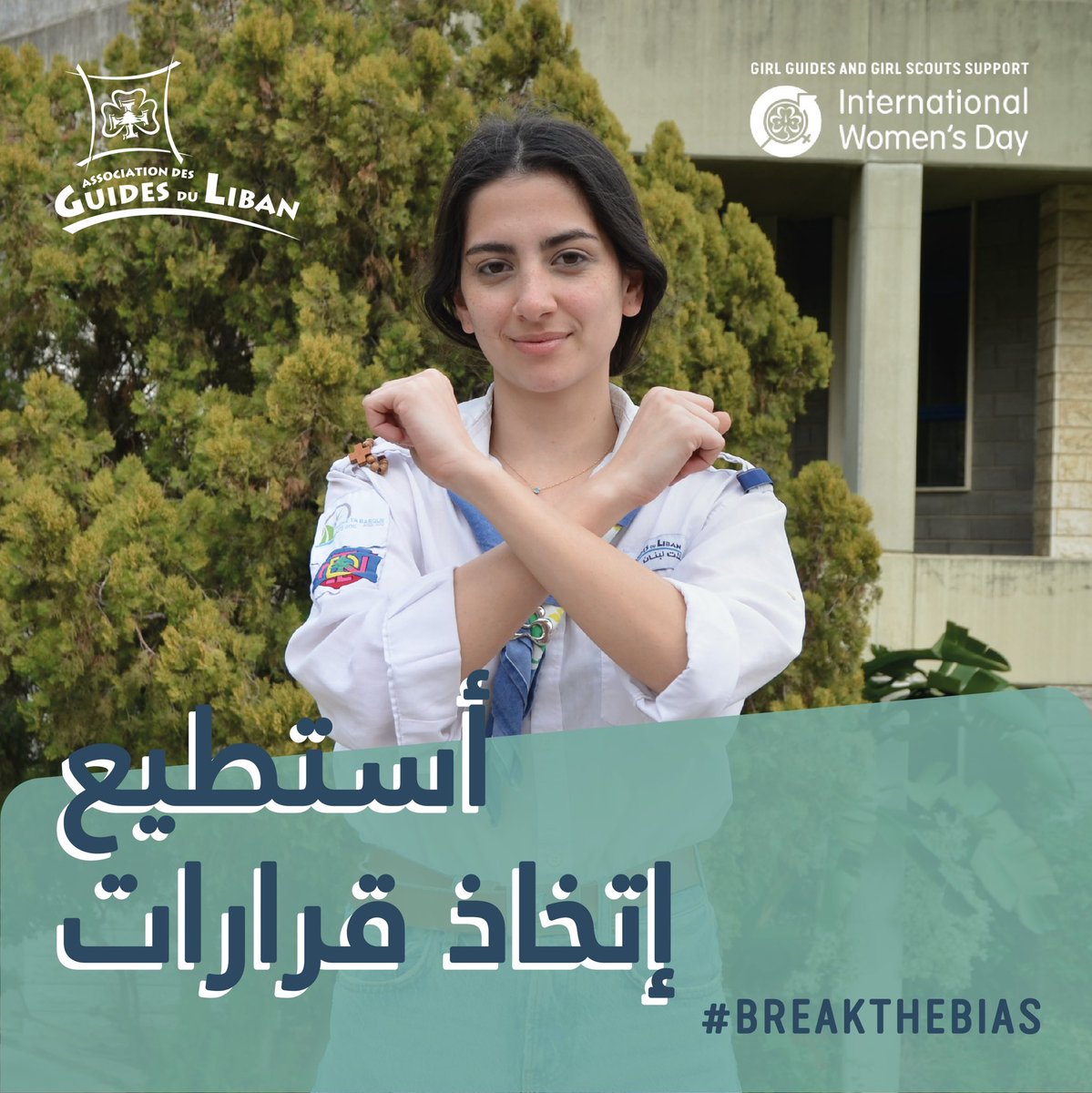 Guides du Liban tweet media