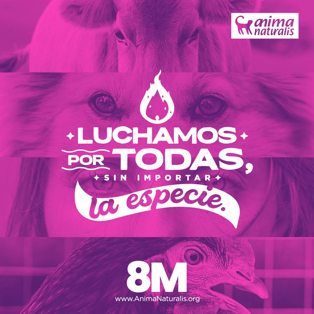 AnimaNaturalis's tweet photo. 💜 Día Internacional de la Mujer 💜

@AnimaNaturalis no sería lo que es sin la labor de tantas mujeres que luchan por los animales.

✊🏾 Por un mundo sin opresiones ni discriminaciones.

🐮 ¡Luchamos por todas, sin importar la especie!

#8Marzo2022 #DiaInternacionalDeLaMujer https://t.co/J3CojYc7DP