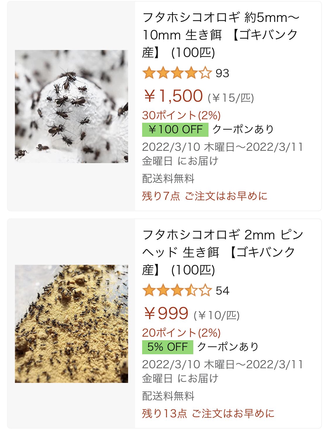 伊賀コオロギ Gokibank Igacricket Twitter
