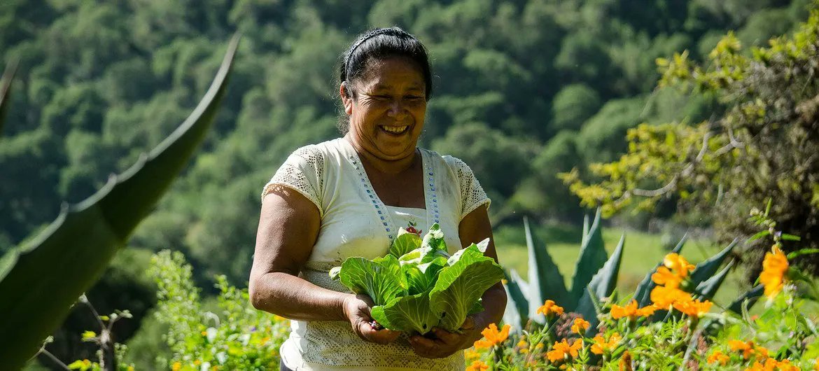 earthcheck's tweet photo. La Biosfera de la Sierra Gorda de la @UNESCO en México se une al programa Destinos Sostenibles #EarthCheck. https://t.co/52gCTAnSwe https://t.co/ZPAfYw0cR5