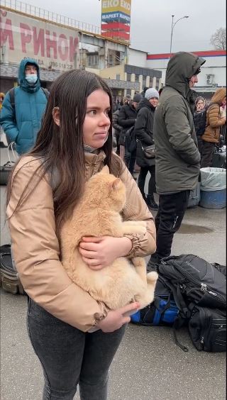 brigitte_bardot's tweet photo. #Ukraine
Je suis bouleversée par ces femmes et ces hommes qui, dans ces circonstances dramatiques et sous les bombes, n’abandonnent pas leur animal quand en France des milliers de lâches abandonnent le leur pour quelques jours de vacances. Quelle leçon de courage et d’humanité ! https://t.co/niKfPNHMNj