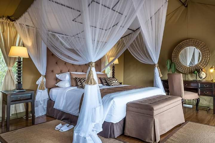 HolidayDealers's tweet photo. 𝐈 𝐤𝐧𝐨𝐰 𝐈'𝐝 𝐋𝐨𝐯𝐞 𝐢𝐭 𝐡𝐞𝐫𝐞, 𝐡𝐨𝐰 𝐚𝐛𝐨𝐮𝐭 𝐲𝐨𝐮? Jambo Mutara Camp➡️https://t.co/UCBs2BZwOd
#Kenya #travel #TembeaKenya #travelkenya #traveling #Nanyuki #luxurytravel #luxury #LaikipiaCounty https://t.co/YZBV0jrsC9