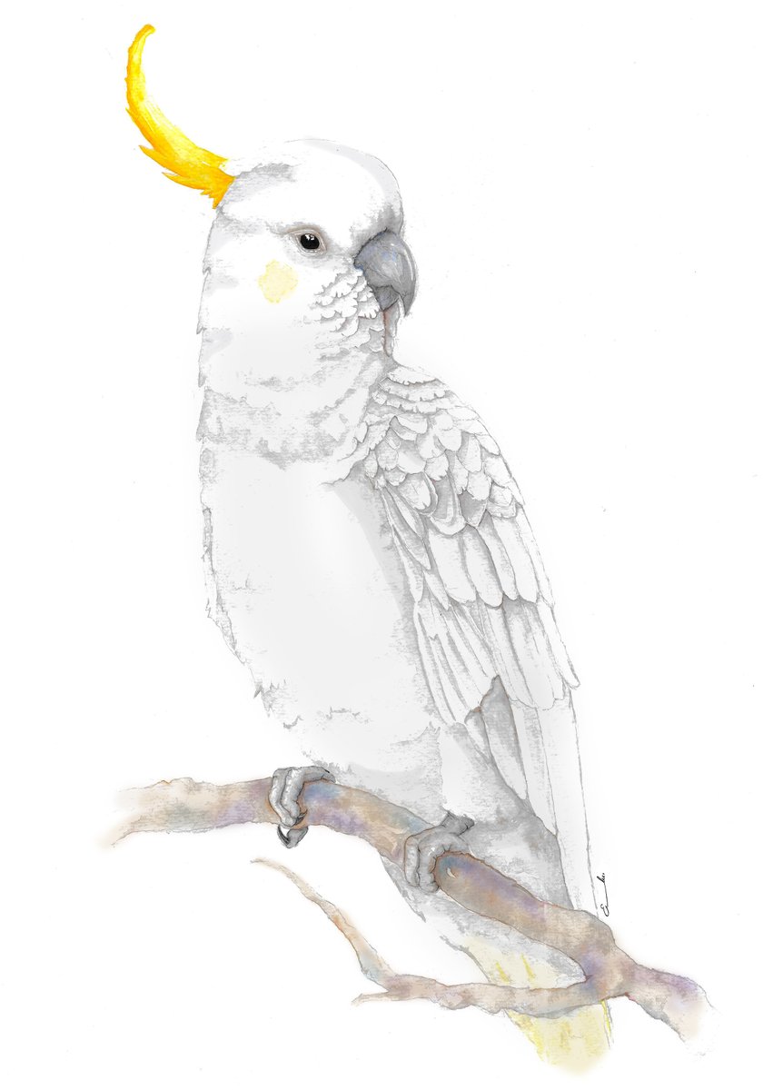 Eluart ᴺᶠᵀ tweet media