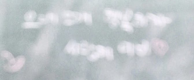 jellyhoony's tweet photo. 오래오래 행복하자 사랑해 더비 ♡ https://t.co/W9rGARdkXG