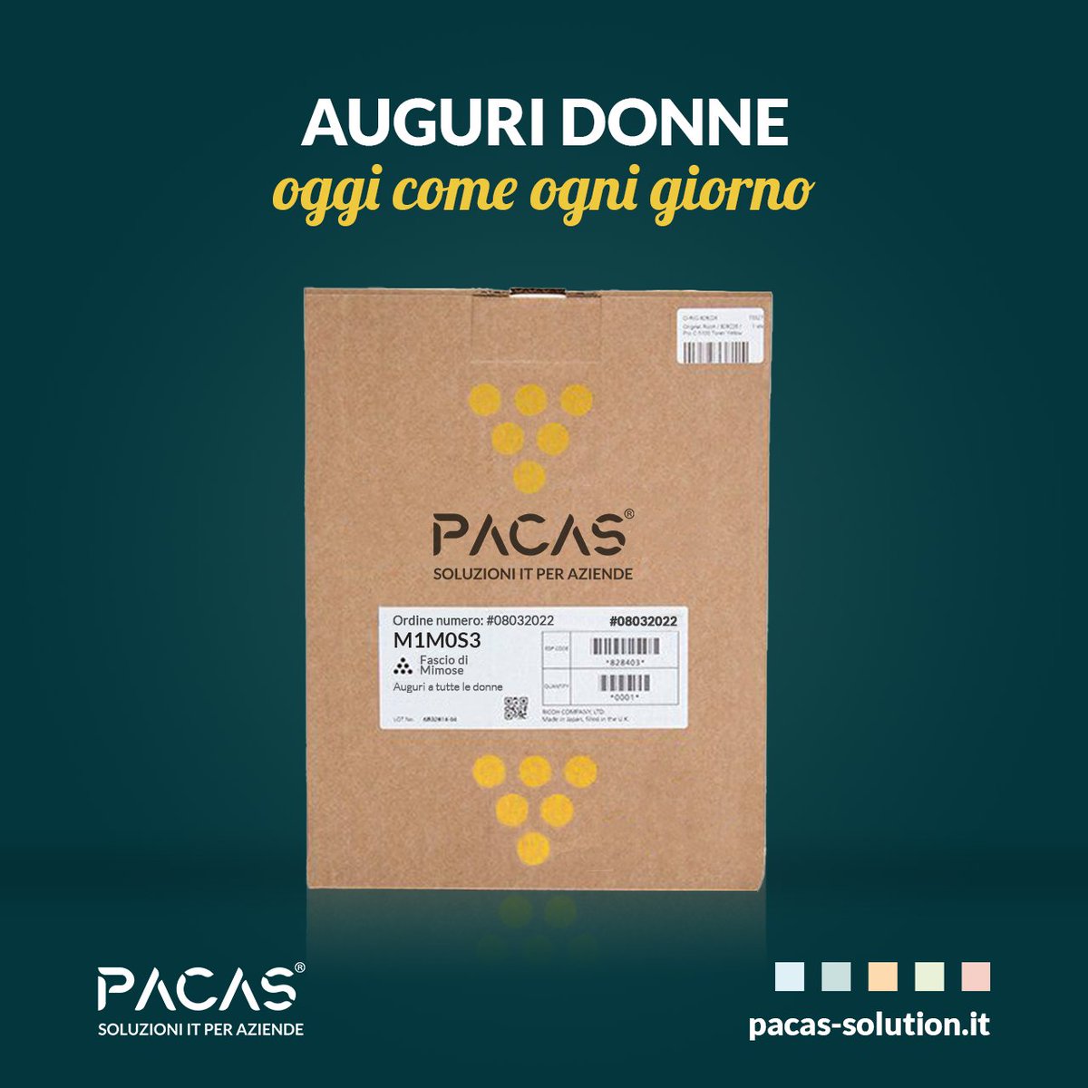 Pacas Solution tweet media