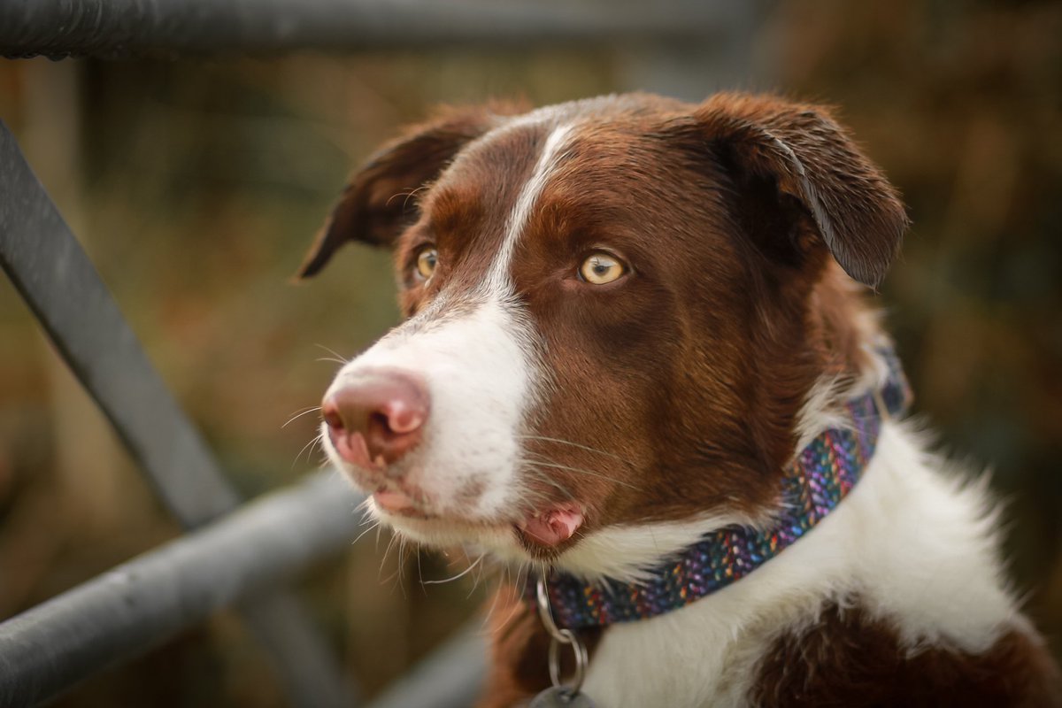 Murphy & Fly tweet media