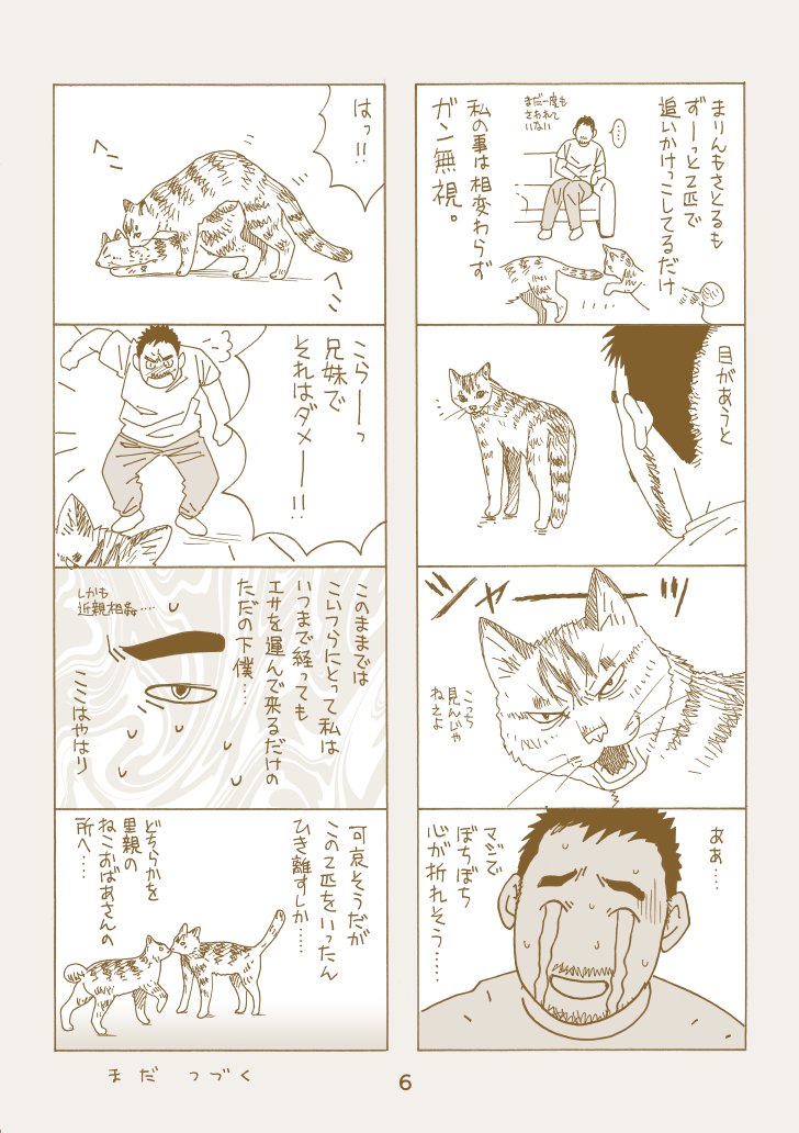 まりんがウチにやって来る その2 