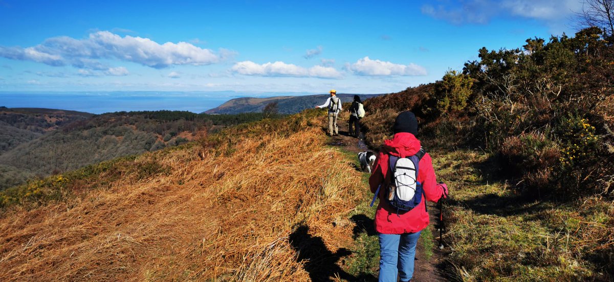 simonsbathhouse's tweet photo. Another successful Spring Walking weekend with our walkers. Our first walk was from Dunkery Beacon to Snow Drop Valley. We walked from Tarr Steps to Hawkridge into Dulverton. Our final walk was across the Moors from Withypool to Simonsbath. Thank you for everyone who joined us. https://t.co/Y1gj6cKLPB