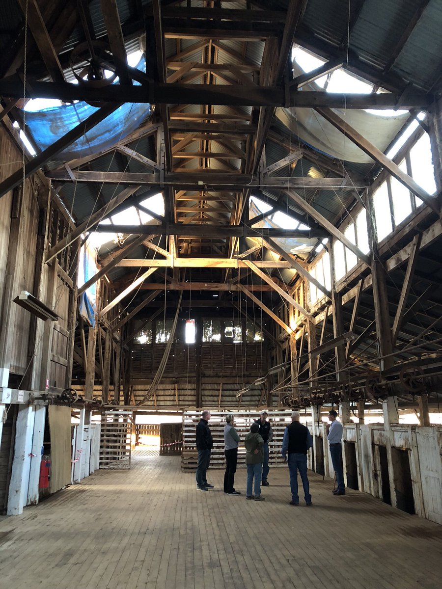 AlHunterRural's tweet photo. Enjoying the #Regionality webinar
Five Fabulous Females of #food, #farming and #agritourism
#IWD2022
#InternationalWomensDay
@rosewright
@afsnsw
PS. Clare Lee, #WindyWoolshed is magnificent! @quadrantagtours 2018 @wtamu visit https://t.co/0gEWMOB0ST