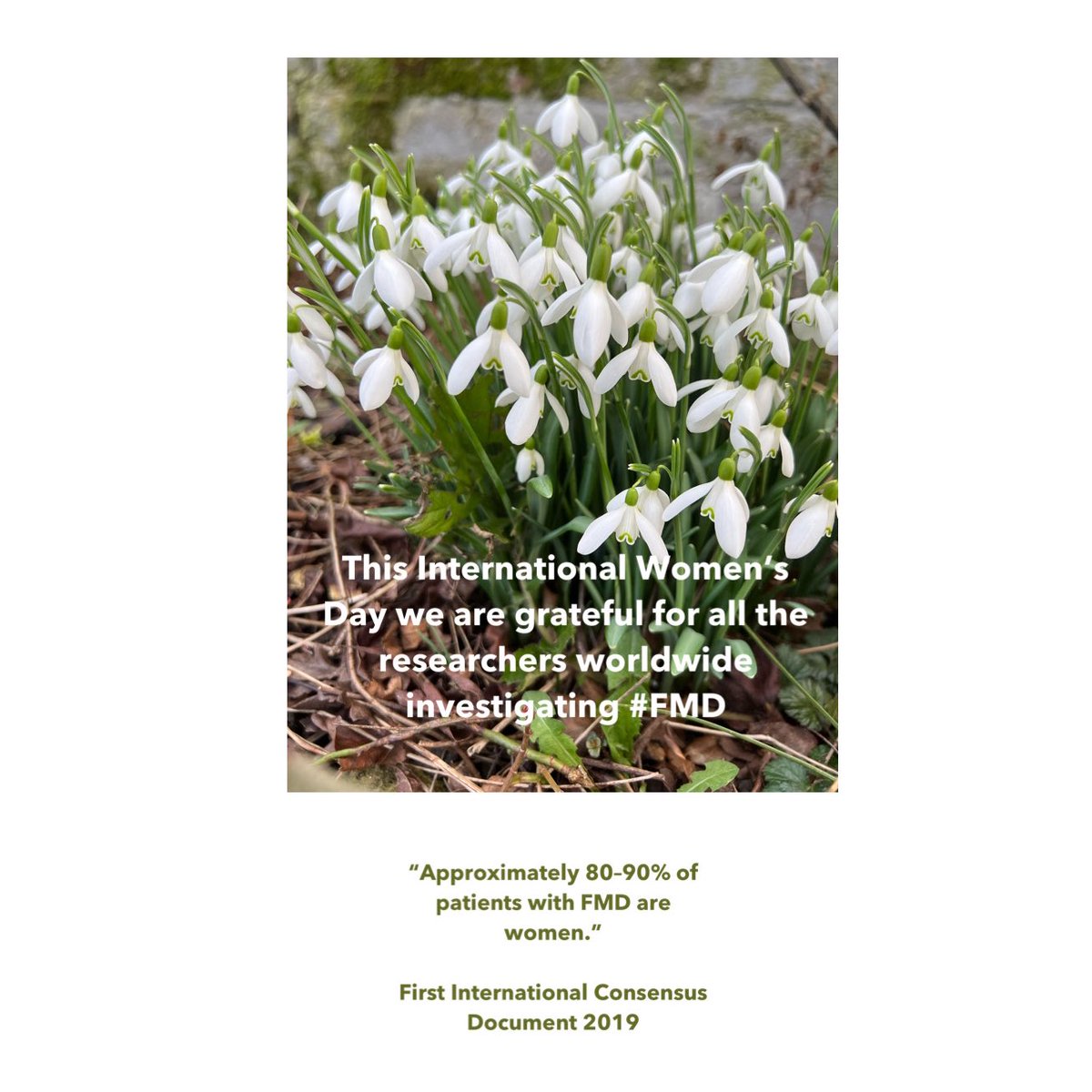 FmdBe's tweet photo. Thank you to all the researcher’s worldwide investigating #fmd and #scad, diseases that affect predominantly #women 

#InternationalWomensDay2022 #InternationalWomensDay #fibromusculardysplasia #fmdawareness 

@FMDartery @fmdgroep https://t.co/hjjFJkizII
