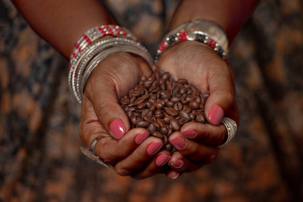 GCRF_TRADE_Hub's tweet photo. Today is International Women’s Day! 🧕🏼👩🏽‍🔬👩🏾‍🎨

At the TRADE Hub, one of the things we explore is the role of gender in commodity supply chains. 

Read more in our blog on gender equality today for a more sustainable tomorrow.

READ👉 https://t.co/BcEQkZcQq5 https://t.co/QWNfed9ohU
