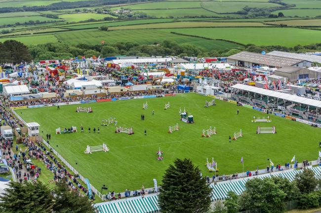 Showing Scene tweet media