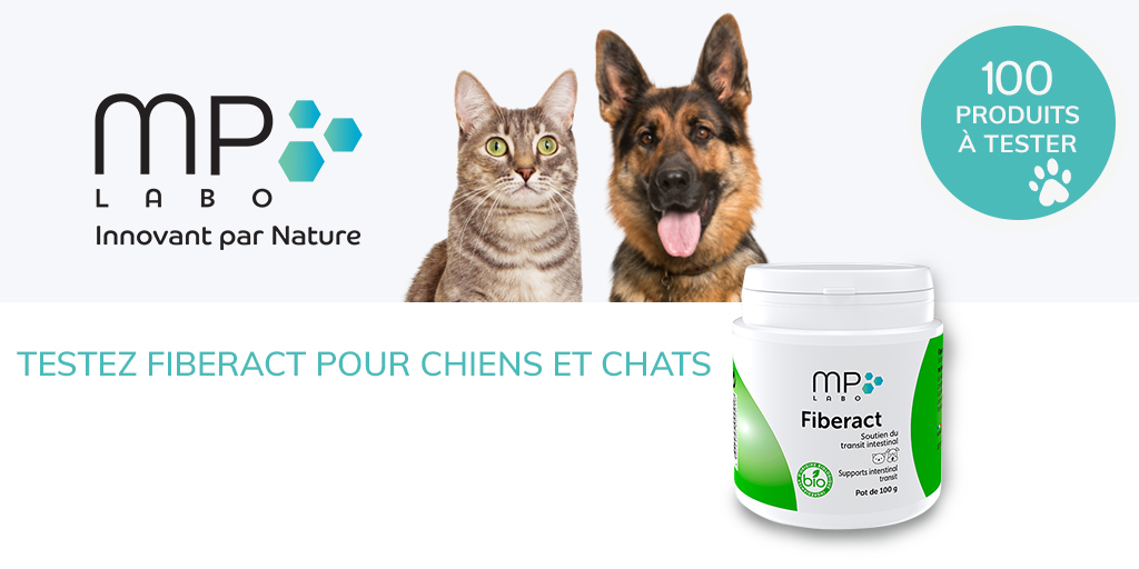 ConsoAnimo's tweet image. Votre chat ou chien souffre-t-il de troubles digestifs ? 
Si c'est le cas, inscrivez-vous dès à présent au test du produit FIBERACT ! 😉

#consoanimo #testproduit #mp_labo #fiberact

consoanimo.com/test/fiberact
