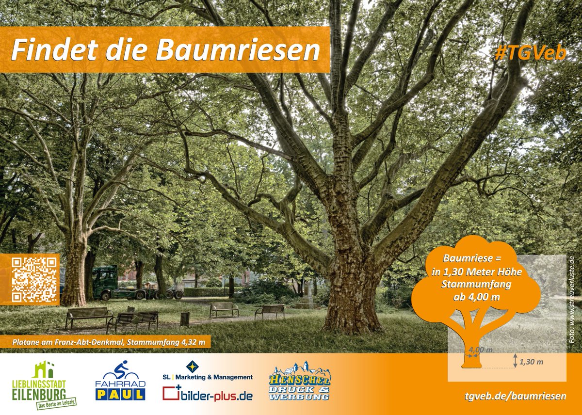 TGVeb's tweet photo. Stadt #Eilenburg #TGVeb Aktion "Findet die #Baumriesen" #Sachsenforst @streuverluste https://t.co/rhqKwK8bG0 https://t.co/oA3175BiHA