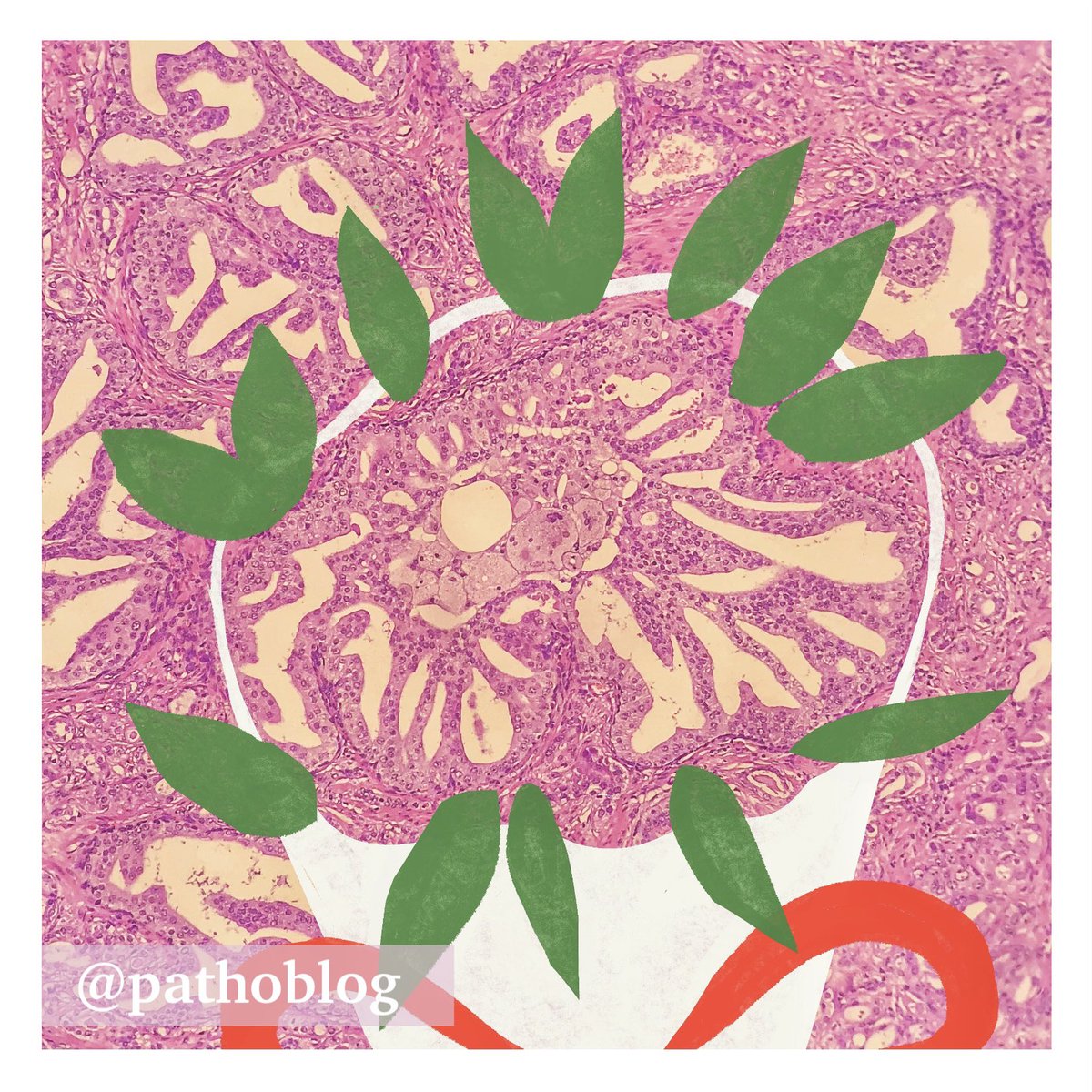 pathoblog's tweet photo. #pathoblog #pathart #pathtwitter #InternationalWomensDay2022 #March8 #WomensDay2022 https://t.co/2chj2Xw3Ei
