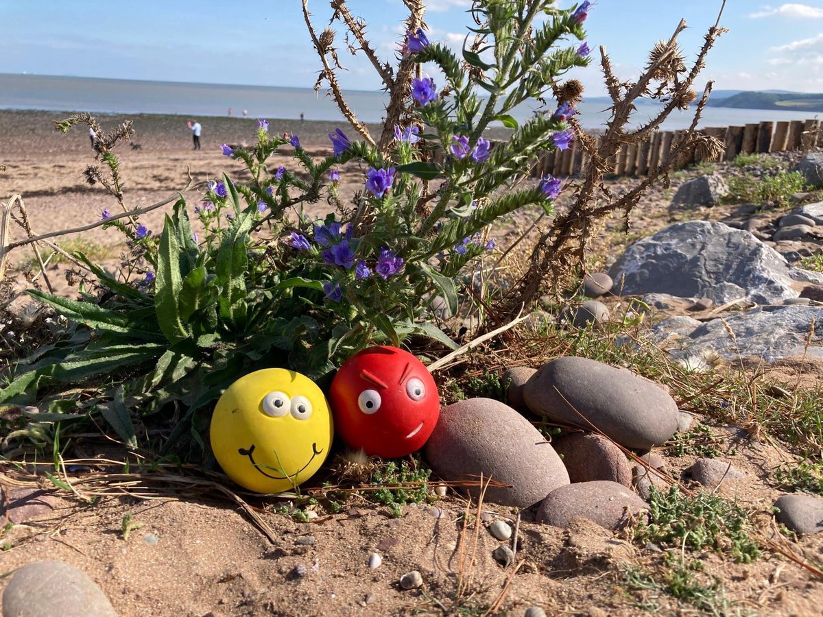 NEW BEACH CLEAN DATES FOR WEST SOMERSET! 

Saturday April 2nd - Watchet - 2pm to 4pm
Sunday April 3rd - Minehead - 2pm to 4pm
Saturday April 9th - Bossington - 10am to 11am 
Sunday April 10th - Blue Anchor/ Dunster - 10am to 12noon
#beachclean #westsomerset