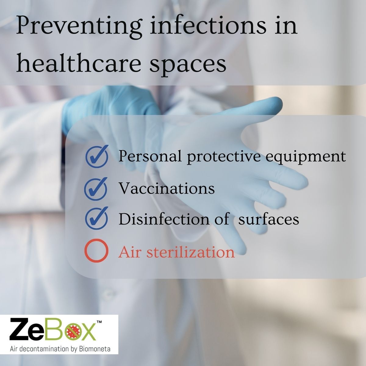 Biomoneta tweet media