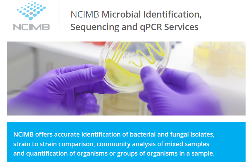 HugganJude's tweet photo. #DYK @ncimb offer #GMPcompliant #MicrobialIdentification to support #GMPManufacturing? Find out how we can support your EM requirements - https://t.co/gGVCxItgko https://t.co/ArLdxoUMXU