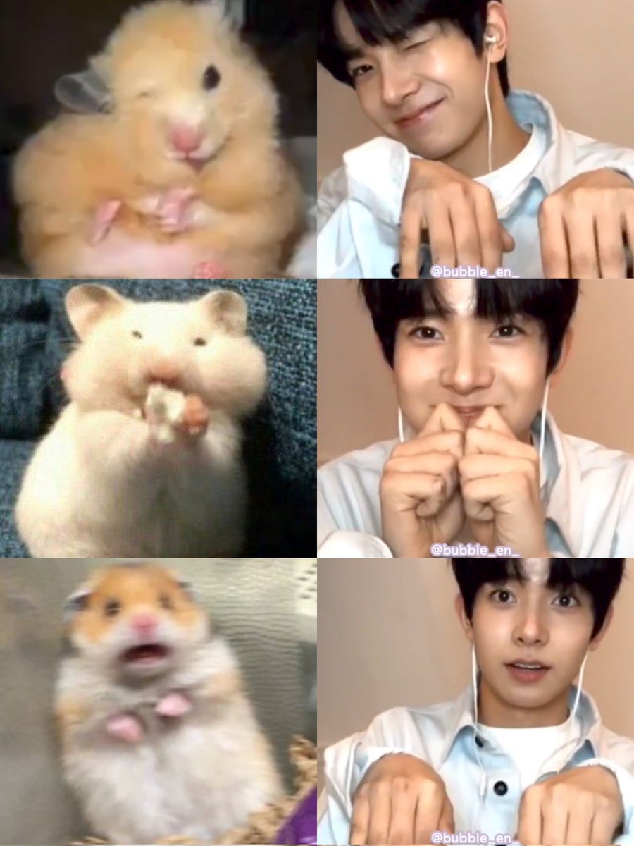 _fleurblooms's tweet photo. look at heeseung imitating the hamster 🐹😞 cute. https://t.co/ksdtFkkFyb