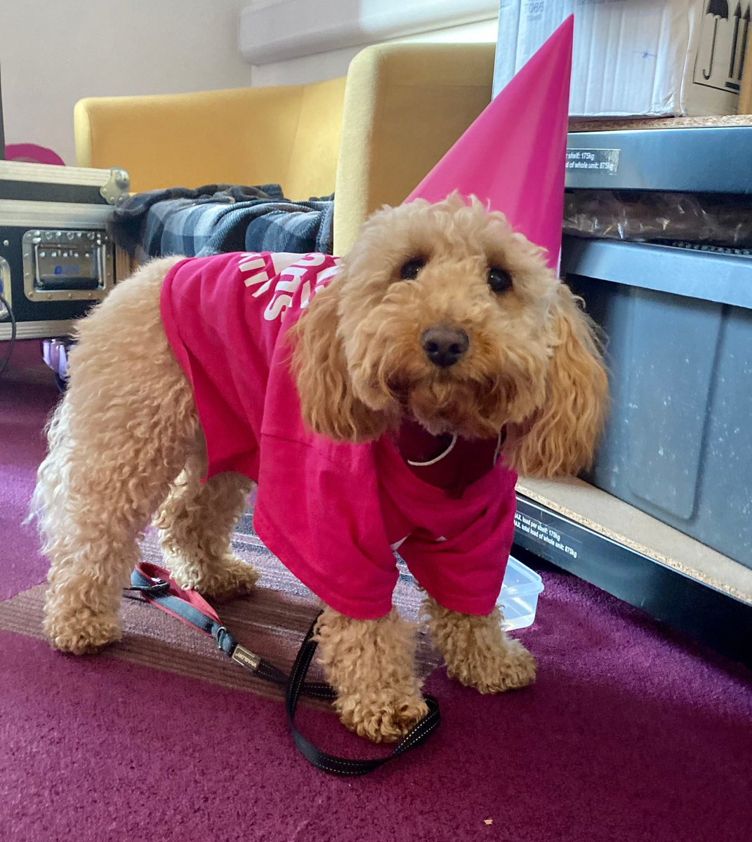 HuddersfieldSU's tweet photo. Sydney says you should vote in Elections! 🐶 #HudVotes
Vote here: https://t.co/sQWPi49G9c
@HudResEnv @hudlib @HuddersfieldUni @ActiveHud https://t.co/9onTsCvFN0