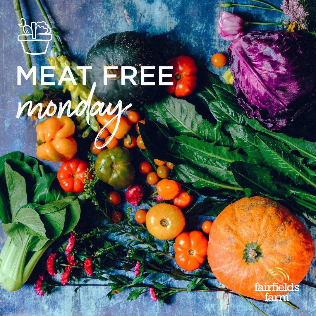 FairfieldsFarm's tweet photo. To inspire you to give Meat Free Mondays a try, we have put together a collection of our favourite meat free recipes that we think will be a great place to start.

https://t.co/PdRtp7OT5n

#MeatFreeMondays #MeatlessMonday #MeatFreeMeals #FairfieldsFarm #Farm https://t.co/9hAE1csEs6
