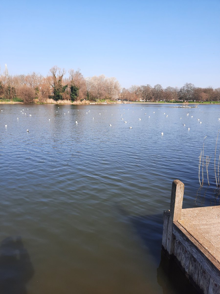 se1trainer's tweet photo. Burgess Park in sunshine, 2 nice views, one not so nice  #friendsofburgesspark https://t.co/5I4Izok6dg